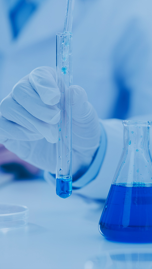 凯时KB88·(中国区)官方网站